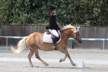 img-0954