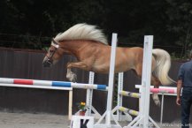 img-0974