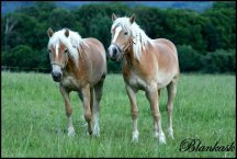 Dorotka ve 2letech...