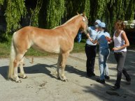 Poslední úpravy před svodem..